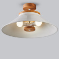 Люстра стельова School style white1